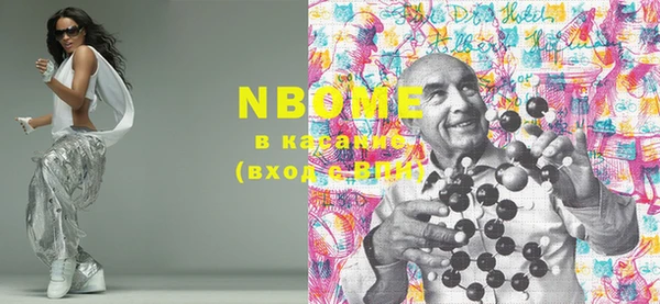 PSILOCYBIN Алзамай