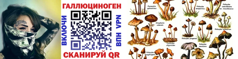 Галлюциногенные грибы Magic Shrooms MEGA как войти Кимры